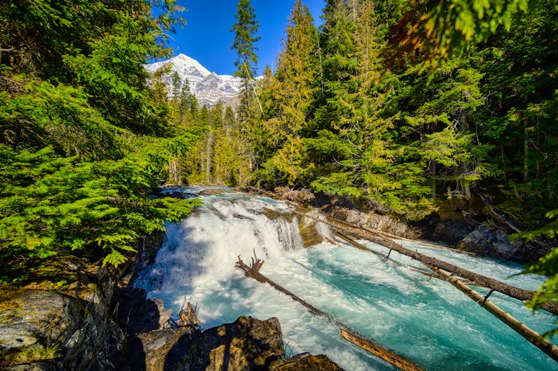 Wanderung zum Kinney Lake im Mount Robson Park - ©Jaro - stock.adobe.com