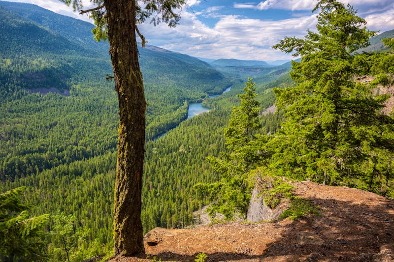 Clearwater River im Wells Gray Provincial Park - ©Andreas Prott - stock.adobe.com