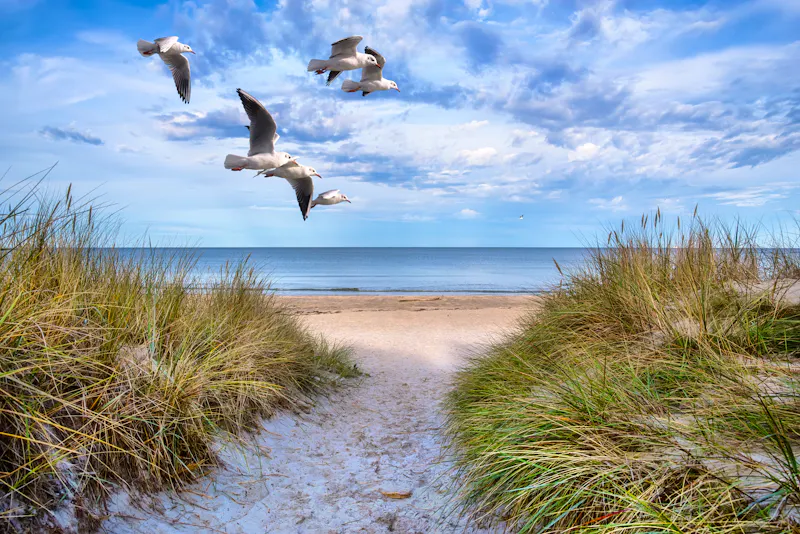  Sandstrand, Dünen und Möven bei Glowe auf der Ostsee-Insel Rügen - &copy;©EKH-Pictures - stock.adobe.com