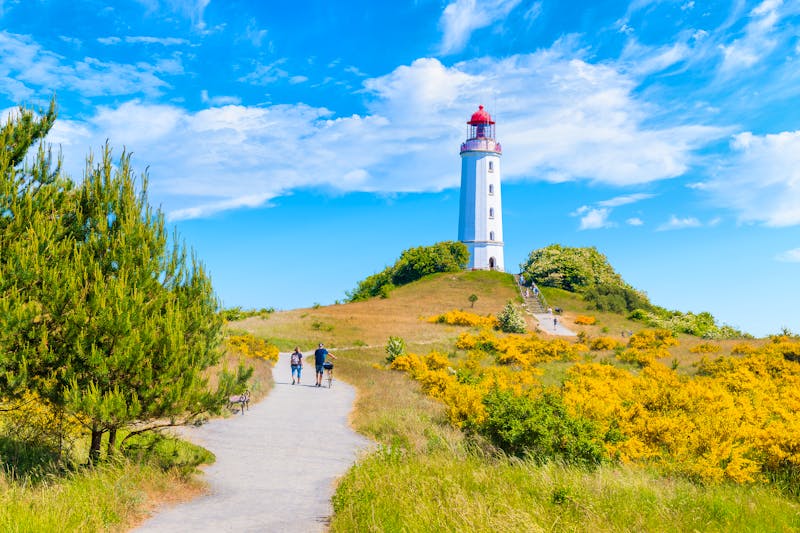 Ostsee-Insel Hiddensee -  Wanderweg auf dem Dornbusch zum Leuchttum  zur Ginsterblüte - ©©pkazmierczak - stock.adobe.com