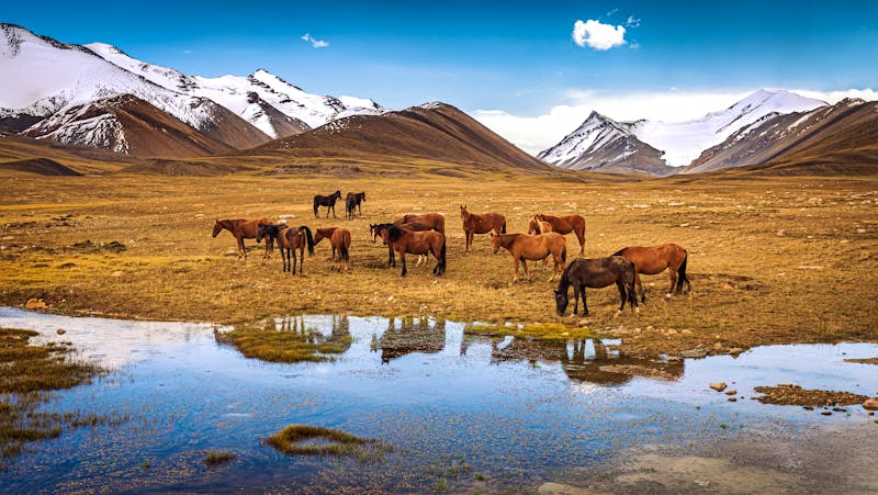 Landschaft am Barskoon Pass in Kirgistan - ©Sabine - stock.adobe.com