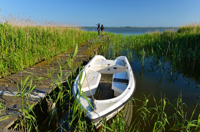 Am Darßer Bodden - Ostsee Fischland-Darß - ©dieter76 - stock.adobe.com