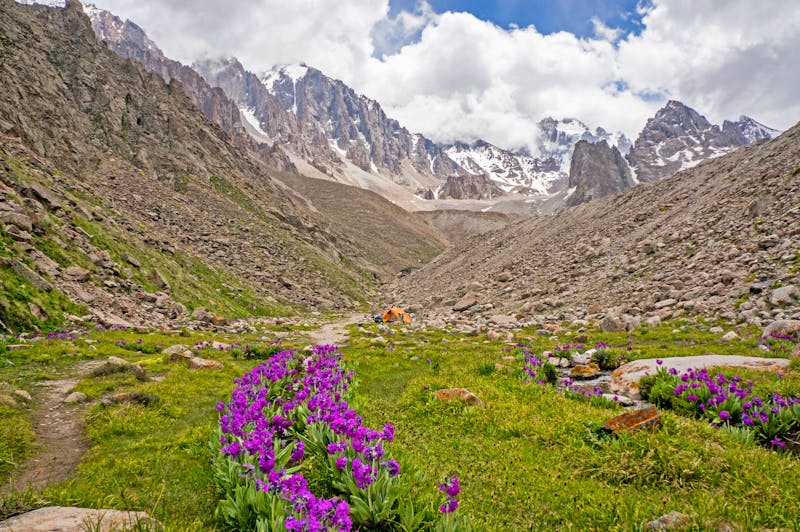 Ala-Artscha-Nationalpark im Tian-Shan-Gebirge - ©LIGHTFIELD STUDIOS - stock.adobe.com