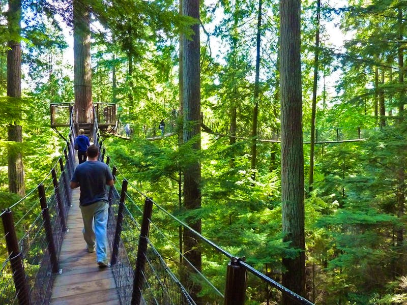 Baumwipfelpfad im Capilano Suspension Bridge Park - ©Eberhardt TRAVEL - Ralf Mehnert