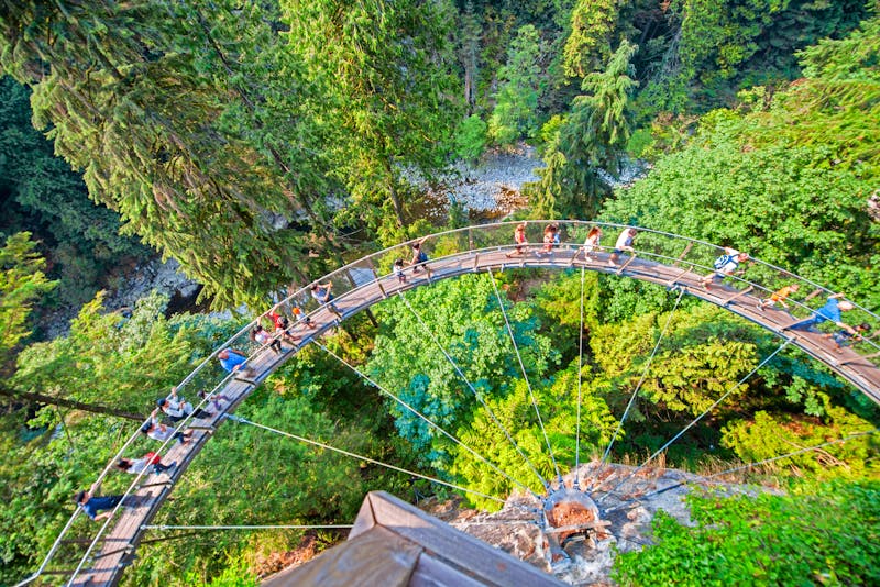 Skywalk im Capilano Suspension Bridge Park - ©jovannig - stock.adobe.com