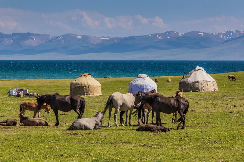 Nomaden-Siedlung am Son Kul See - ©Matyas Rehak - stock.adobe.com