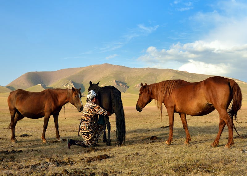 Nomaden in Kirgistan - ©Zaneta - stock.adobe.com
