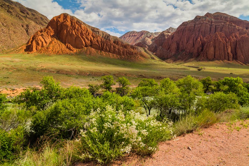 Landschaft bei Kyzyl-Oi in Kirgistan - ©Anton Petrus - stock.adobe.com
