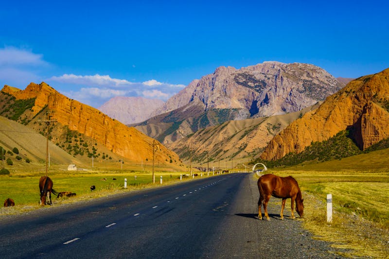 Straße nach Bischkek in Kirgistan - ©uweseidner - stock.adobe.com
