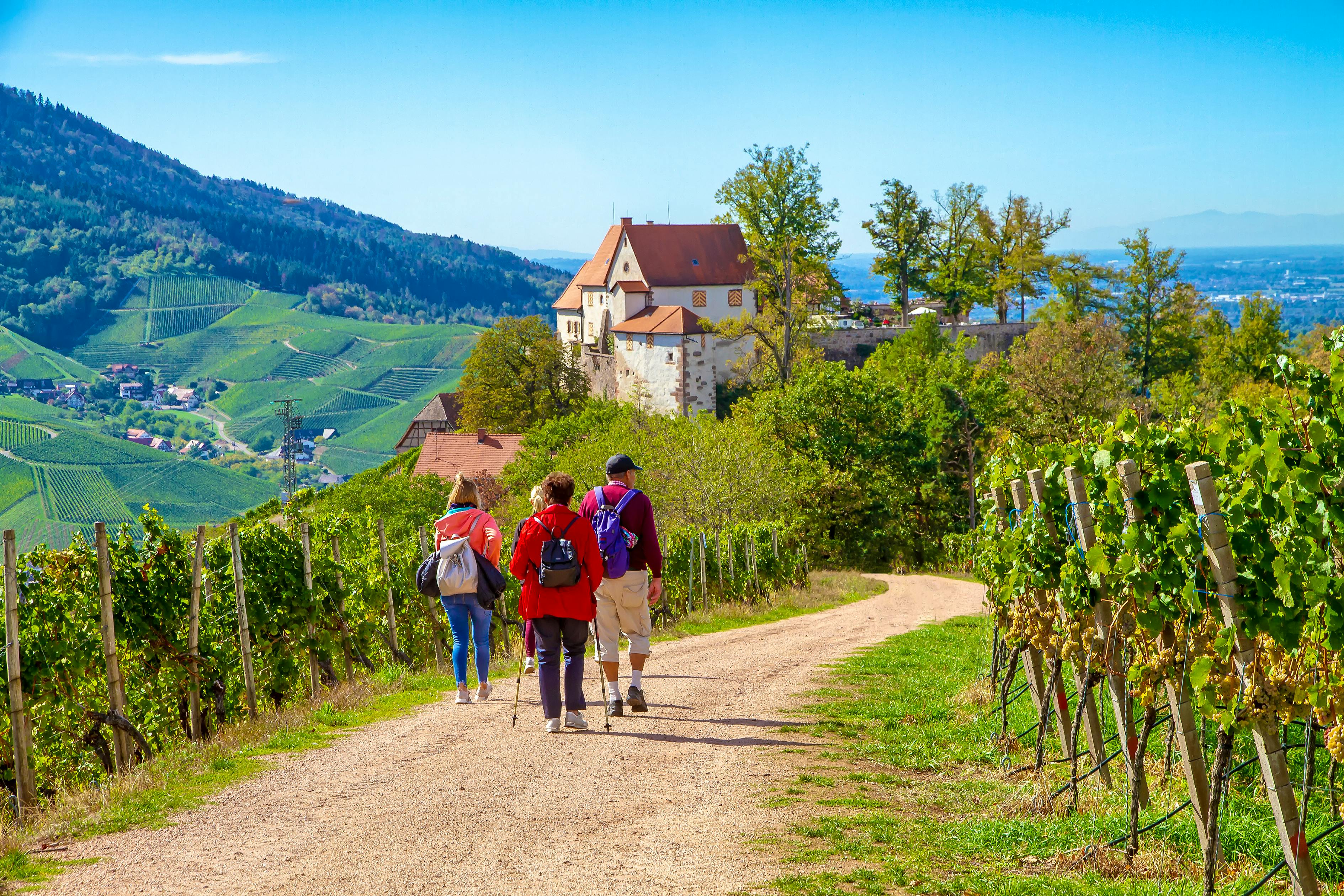 Wanderung im Schwarzwald&nbsp;&ndash;&nbsp;&copy;&nbsp;Jürgen Fälchle - stock.adobe.com