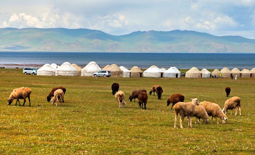 Jurtencamp am Son Kul See in Kirgistan &ndash; &copy; Daniel Prudek - stock.adobe.com