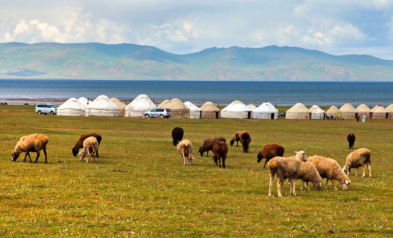 Jurtencamp am Son Kul See in Kirgistan - ©Daniel Prudek - stock.adobe.com