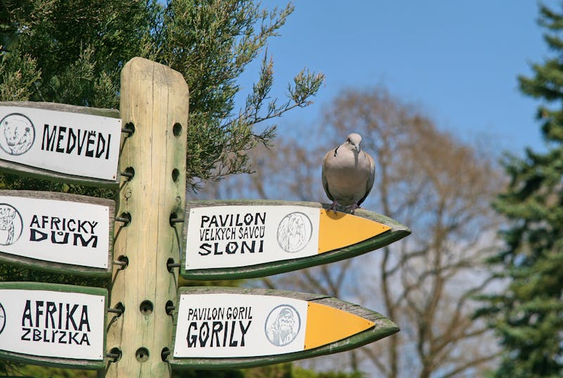 Prager Zoo - ©shiler_a - stock.adobe.com