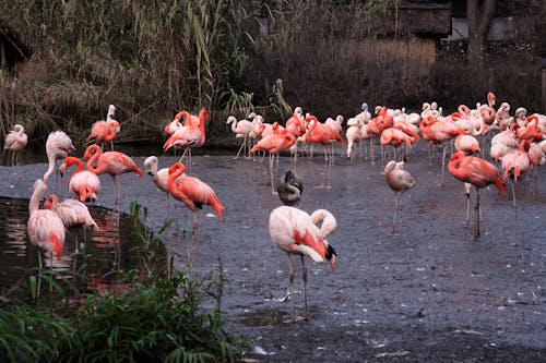Im Prager Zoo &ndash; &copy; Radka - stock.adobe.com