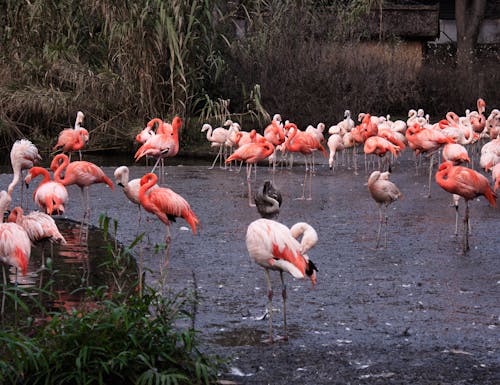 Im Prager Zoo – © Radka - stock.adobe.com