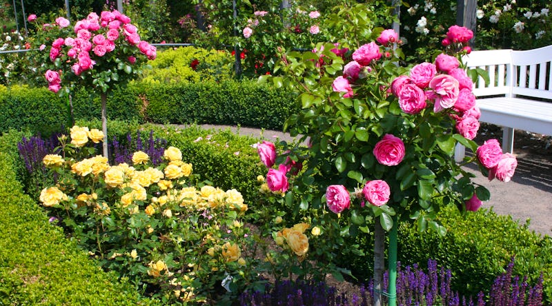 Zell am See - Patrick Fritzsche