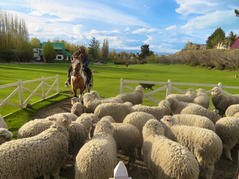 Estancia in El Calafate - ©Sylvia Sann