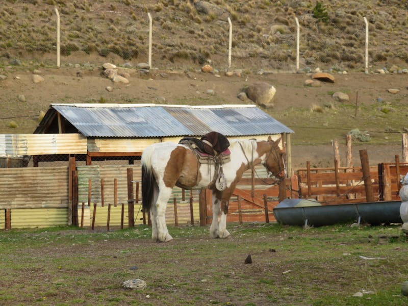 Estancia in El Calafate - ©Sylvia Sann