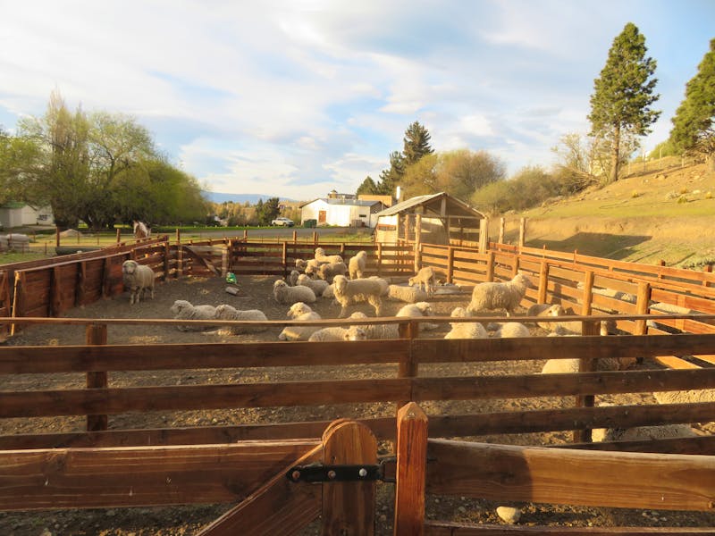 Estancia in El Calafate - ©Sylvia Sann