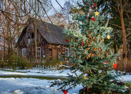 Weihnacht im Spreewald &ndash; &copy; Bomenius - stock.adobe.com