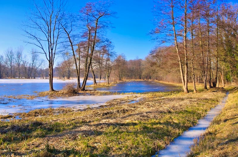 Spreewald im Winter - ©LianeM - stock.adobe.com