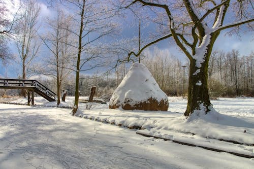 Spreewald im Winter &ndash; &copy; LianeM - stock.adobe.com