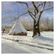 Spreewald im Winter – © LianeM - stock.adobe.com