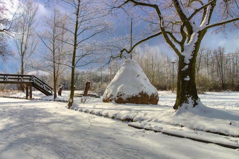 Spreewald im Winter - ©LianeM - stock.adobe.com