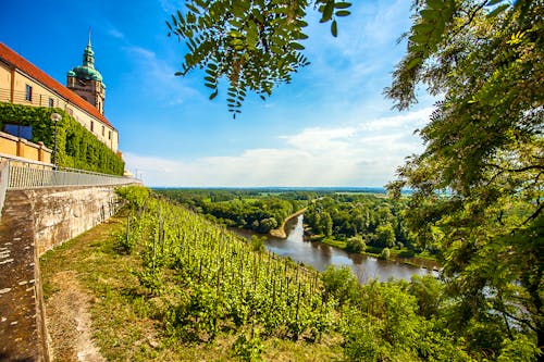 Schloss Melnik - Weinbau am Zusammenfluss von Moldau und Elbe &ndash; &copy; Siegfried Schnepf - stock.adobe.com