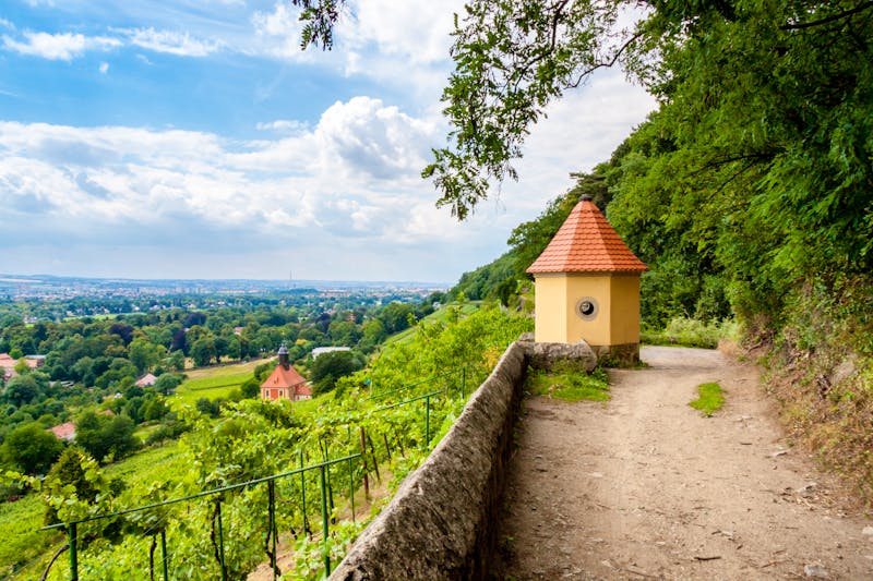 Weinberge und Elbtal in Pillnitz - ©Erik Schumann - stock.adobe.com