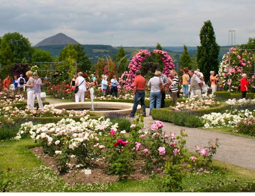 Europa-Rosarium Sangerhausen – © Rosenstadt Sangerhausen GmbH