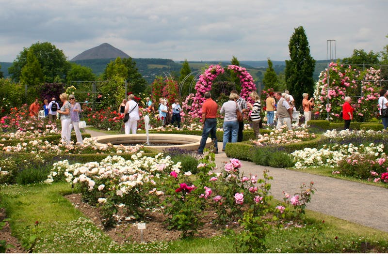 Europa-Rosarium Sangerhausen - ©Rosenstadt Sangerhausen GmbH