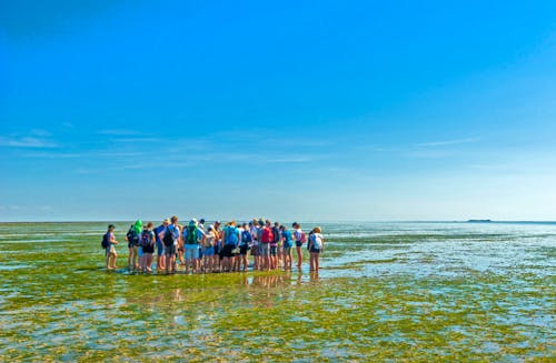 Wattwanderung an der Nordsee &ndash; &copy; Frank Günther - Adobe Stock