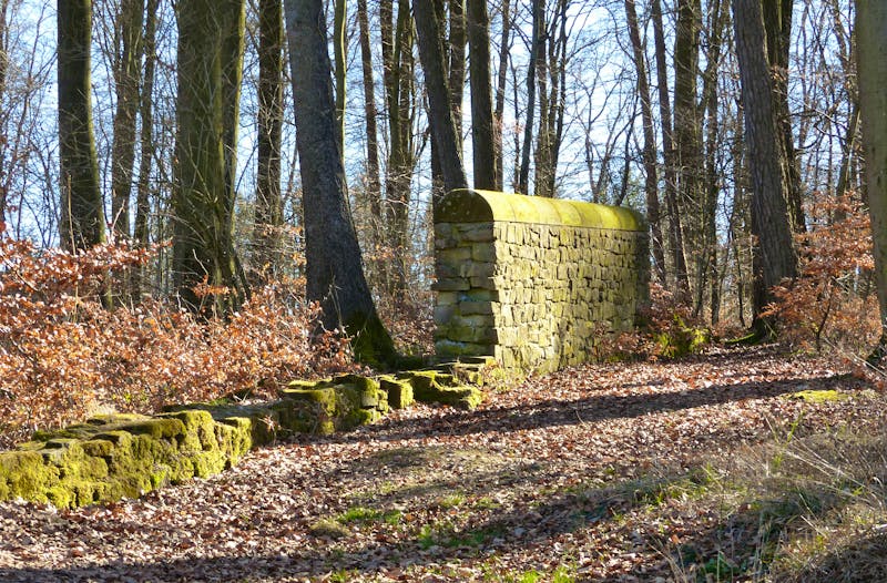 Römische Langmauer bei Butzweiler am Römerpfad in der Eifel - ©©SiRo - stock.adobe.com