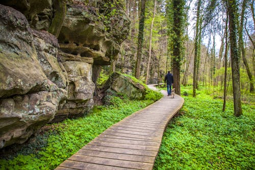 Wanderung im Müllerthal - Kleine Luxemburgische Schweiz &ndash; &copy; ©Alice_D - stock.adobe.com
