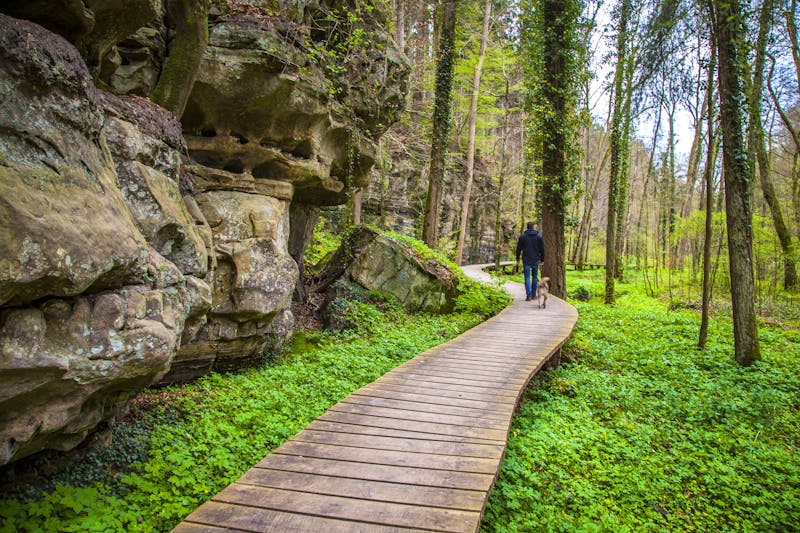 Wanderung im Müllerthal - Kleine Luxemburgische Schweiz - ©©Alice_D - stock.adobe.com