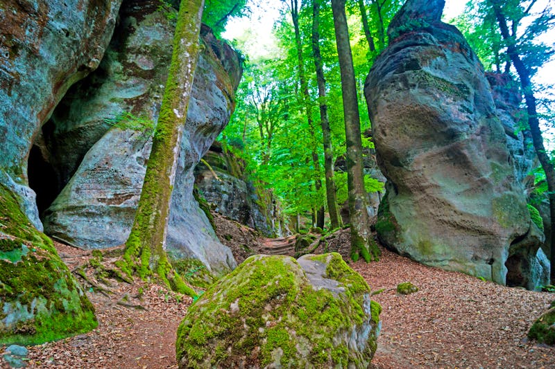 Wanderung im Müllerthal - Kleine Luxemburgische Schweiz - ©Denis Feldmann - stock.adobe.com