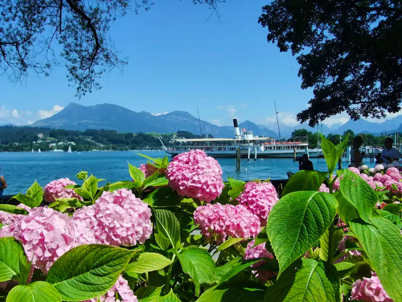 Am Vierwaldstätter See - im Hintergrund die Rigi - &copy;Eberhardt TRAVEL - Martina Pötschke