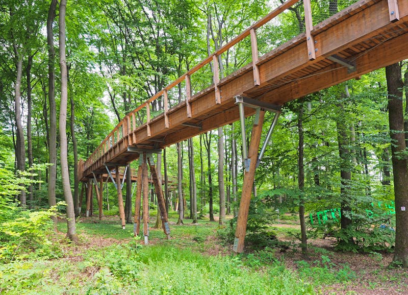 Baumwipfelpfad Saarschleife bei Mettlach im Saarland - ©©hajo100 - stock.adobe.com