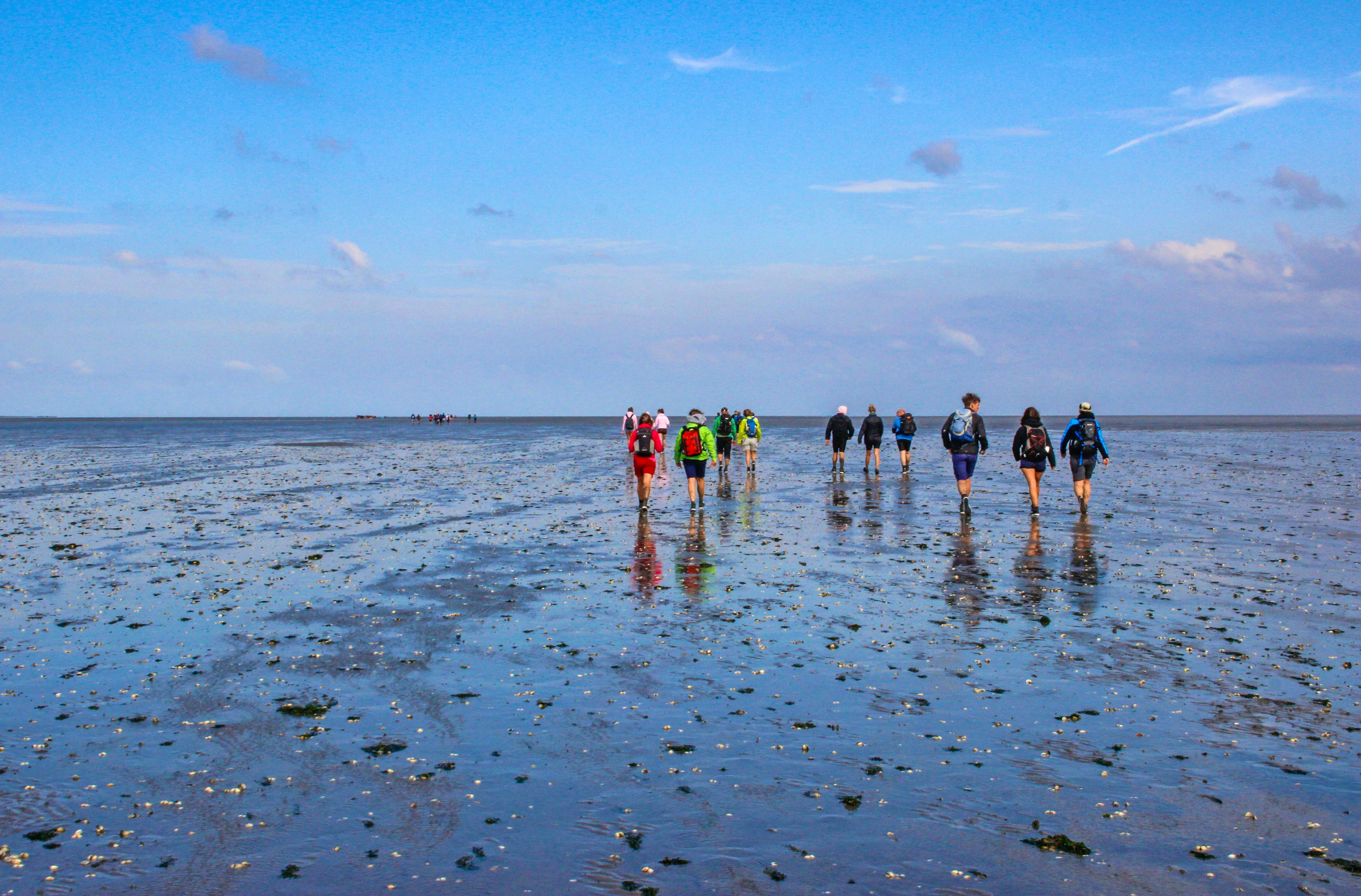Wattwanderung an der Nordsee&nbsp;&ndash;&nbsp;&copy;&nbsp;©Tanya Hendel - stock.adobe.com