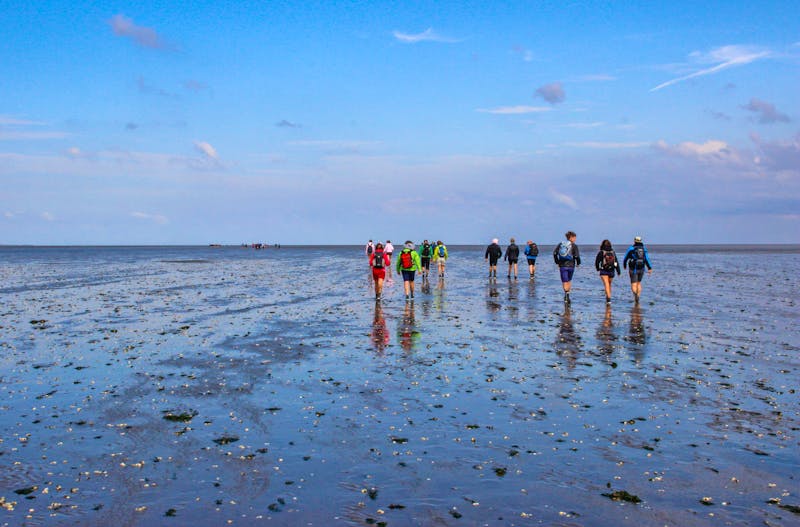 Wattwanderung an der Nordsee - ©©Tanya Hendel - stock.adobe.com