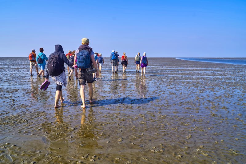 Wattwanderung an der Nordsee - ©©Saimanfoto - stock.adobe.com