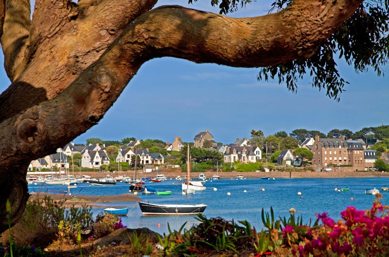Hafen von Ploumanach in der Bretagne - ©luckyjoy7 - stock.adobe.com
