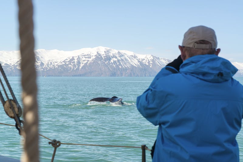 Husavik Hurtigruten - ©Esther_Kokmeijer_2013 Hurtigruten