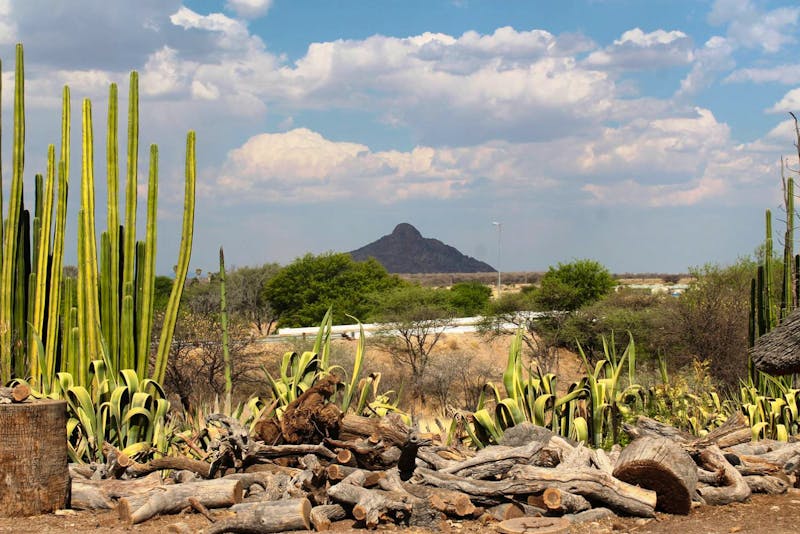 Auf nach Omaruru - ©Eberhardt TRAVEL GmbH - Annett Müller
