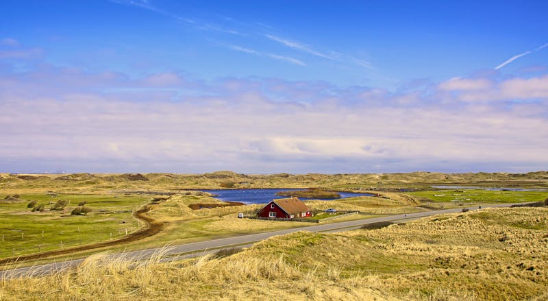  Dünenlandschaft von Norderney - ©Jürgen Hamann - stock.adobe.com