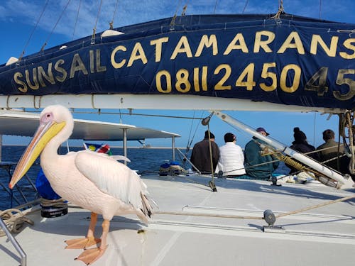 Walvis Bay &ndash; &copy; Eberhardt TRAVEL GmbH - Ria Heilmann