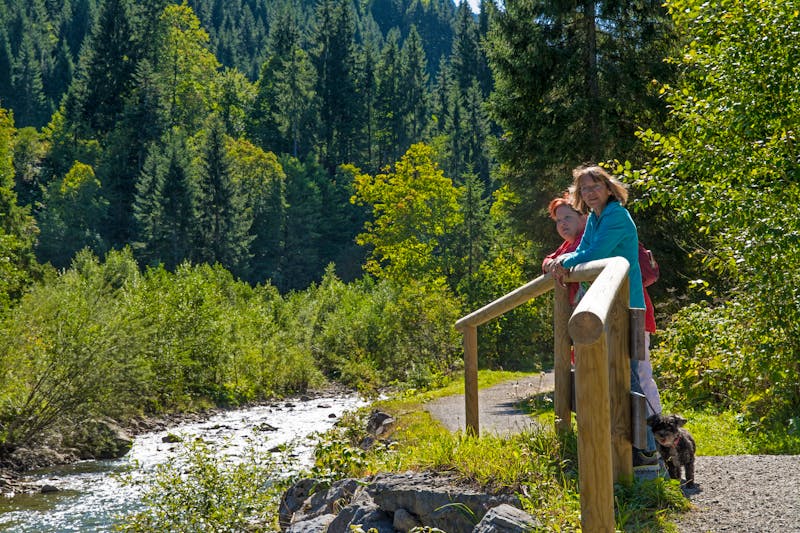 An der Breitach bei Riezlern im Kleinwalsertal - ©Lothar Nahler - Adobe Stock