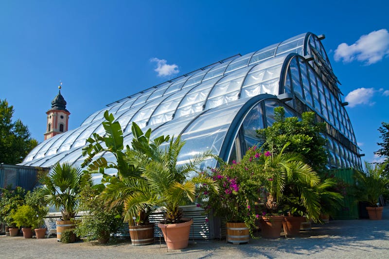 Blumeninsel Mainau - Palmenhaus - ©Elisabeth - stock.adobe.com
