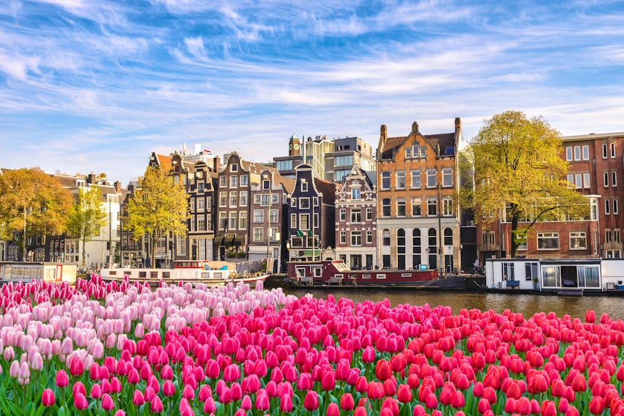 Tulpen in Amsterdam – © ©Noppasinw - stock.adobe.com